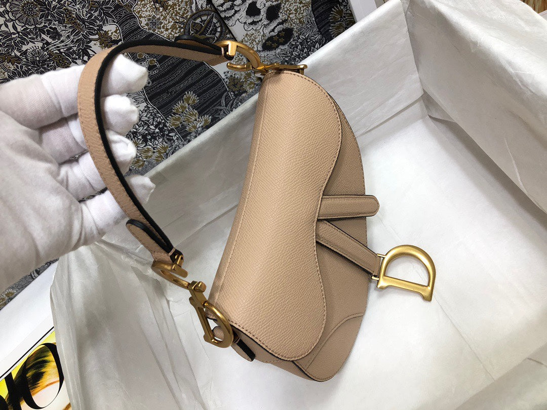 Dior Saddle Small Nude Color 21x18x5 cm