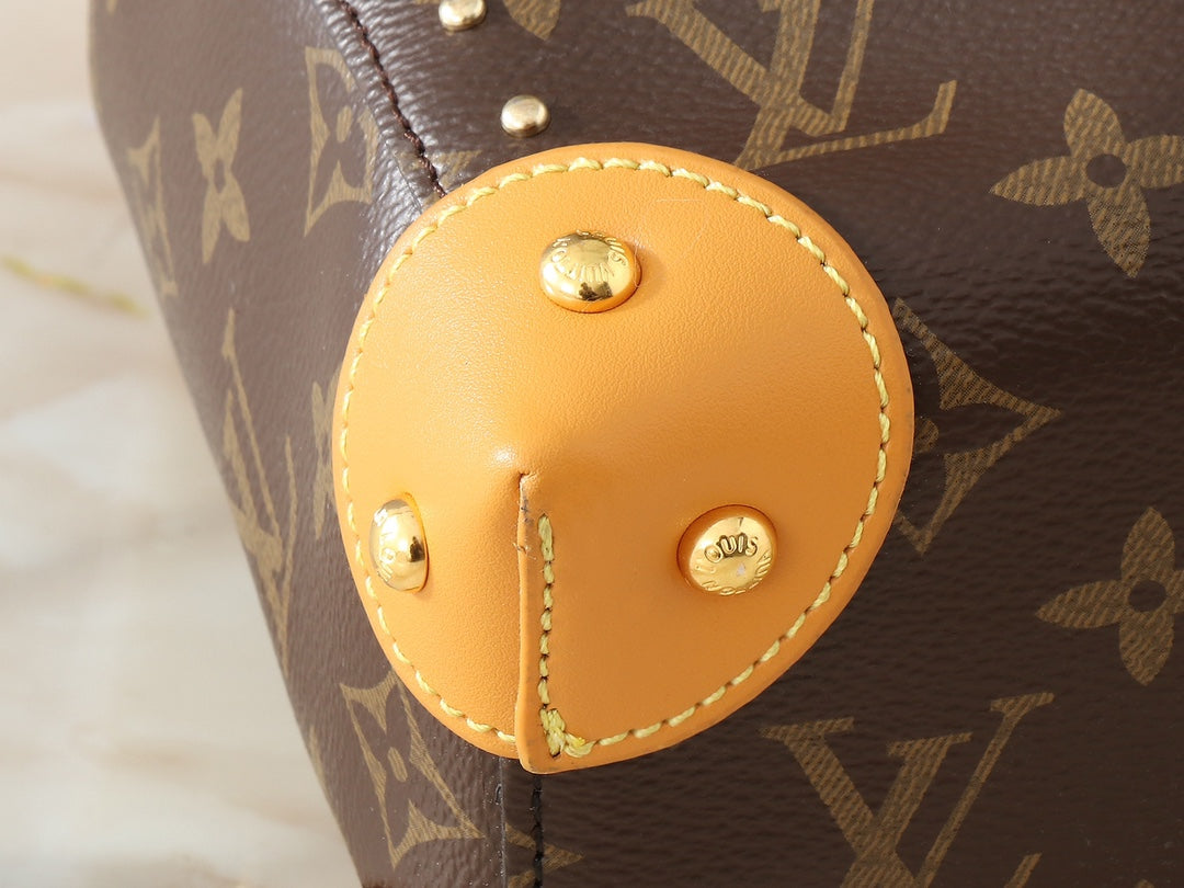 Louis Vuitton LV Classic No¨¦ Handbag Tote Bag 23x27x8cm